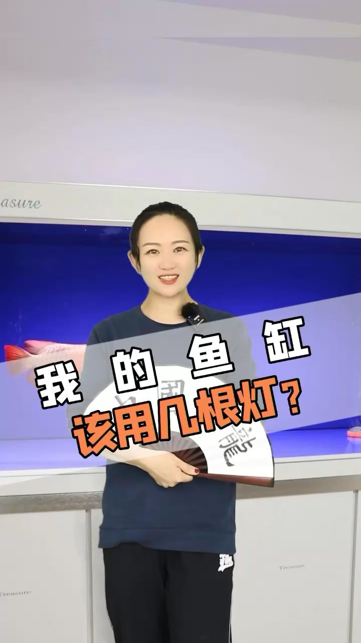 你的魚缸有幾根燈？ 觀賞魚論壇