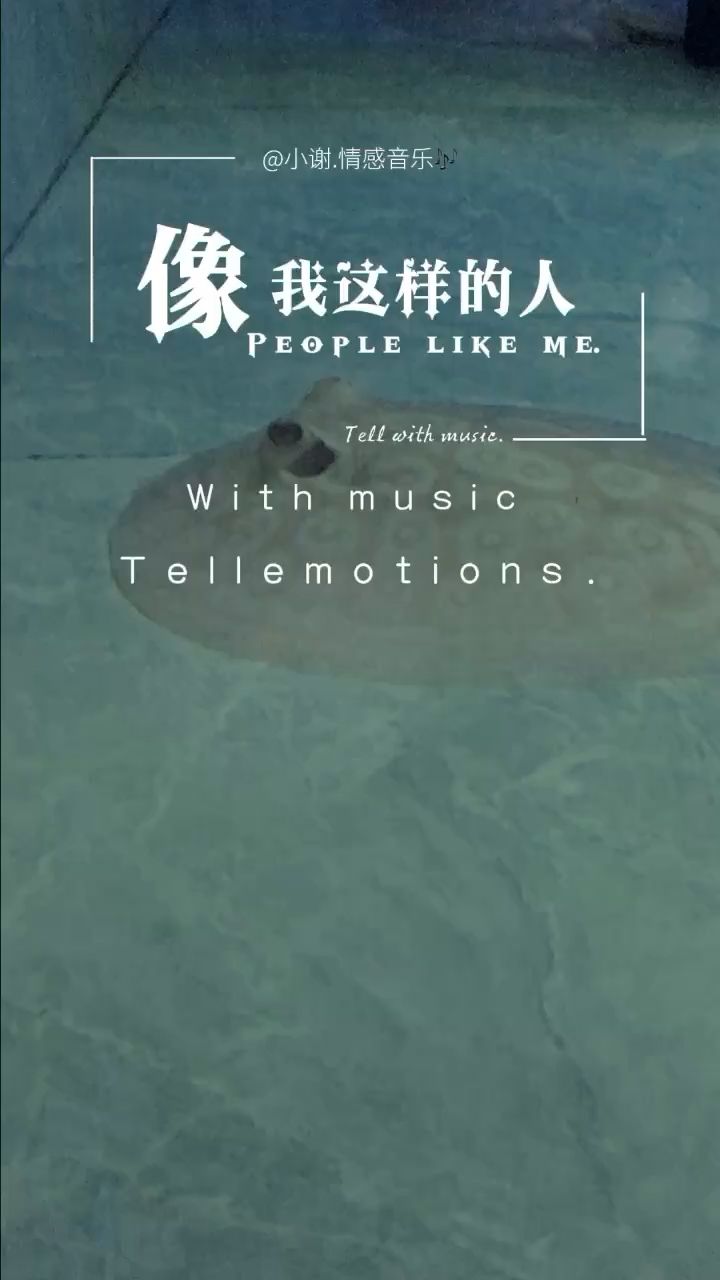 養(yǎng)魚(yú)的日常 觀(guān)賞魚(yú)論壇