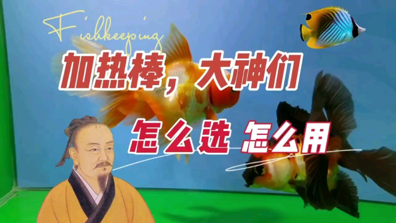 三亞哪里有賣魚缸的地方啊多少錢一條（三亞賣魚缸的地方在哪） 廣州觀賞魚批發(fā)市場(chǎng)