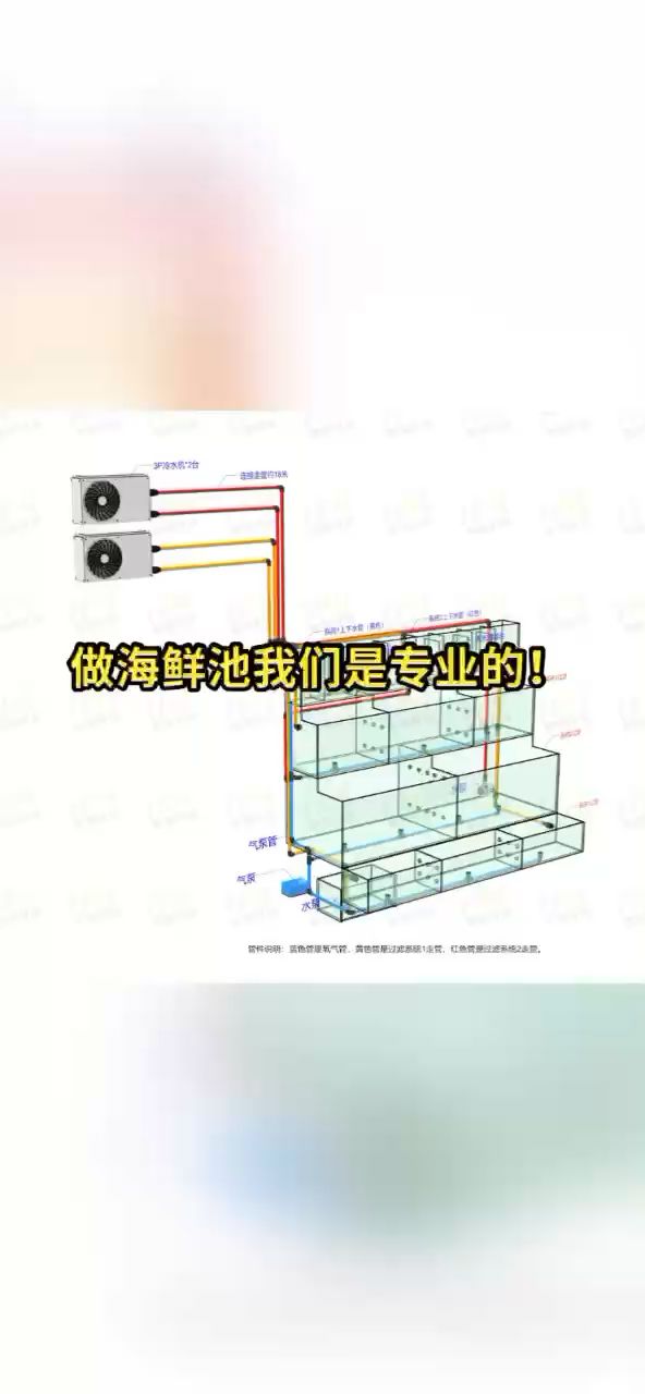 做海鮮池我們是認(rèn)真的！ 觀賞魚論壇