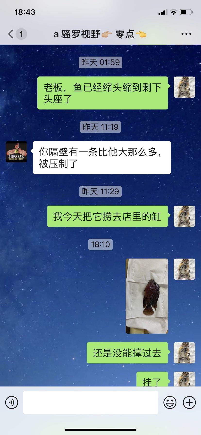 魚缸是立體圖形嗎 水族問(wèn)答 第7張