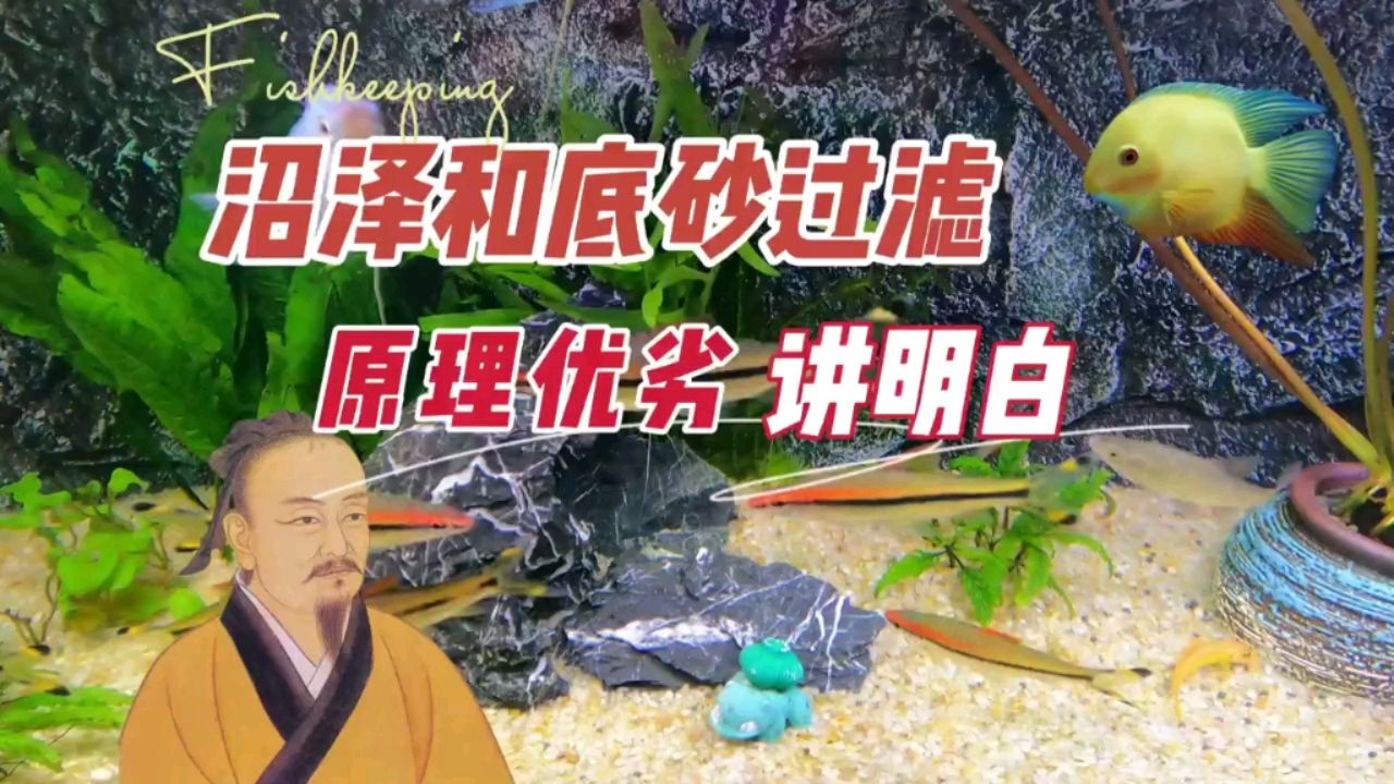 養(yǎng)魚的沼澤和底砂過濾，優(yōu)缺點原理 觀賞魚論壇