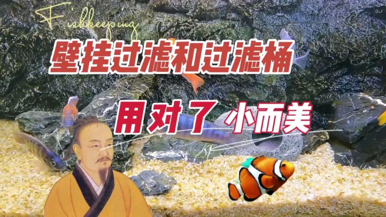 養(yǎng)魚用對了壁掛過濾和過濾桶，小而美 觀賞魚論壇