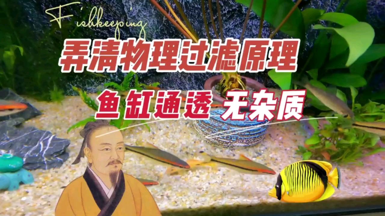 懂養(yǎng)魚物理過濾的原理，魚缸通透無雜質(zhì) 觀賞魚論壇