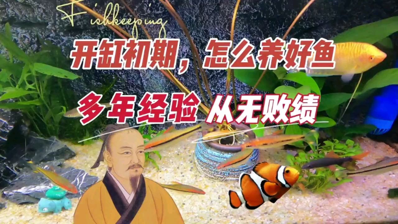 沙漠造景魚缸設(shè)計(jì)（ 沙漠 造景） 創(chuàng)寧水族