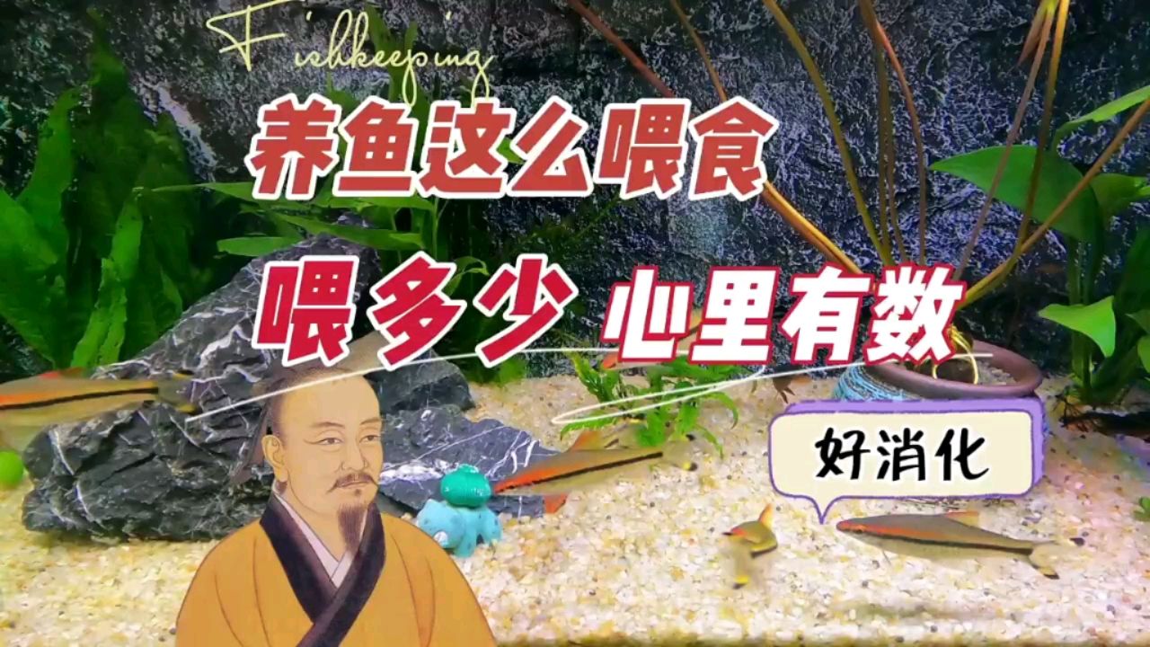 養(yǎng)魚這么喂食，喂多少心里有數(shù)，好消化 觀賞魚論壇