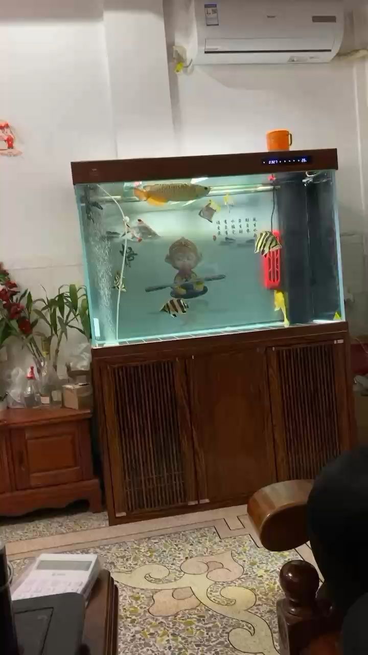 祝魚友們冬至快樂。[huaixiao] 觀賞魚論壇