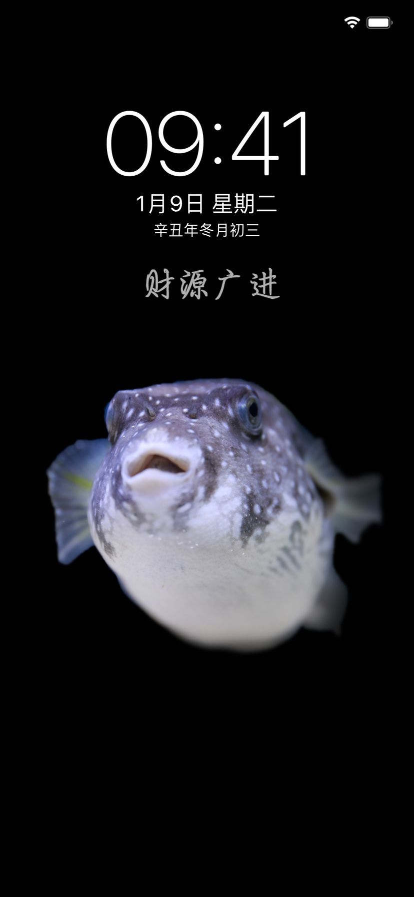 騰龍魚缸是牌子的嗎(騰龍魚缸是牌子的嗎怎么樣)