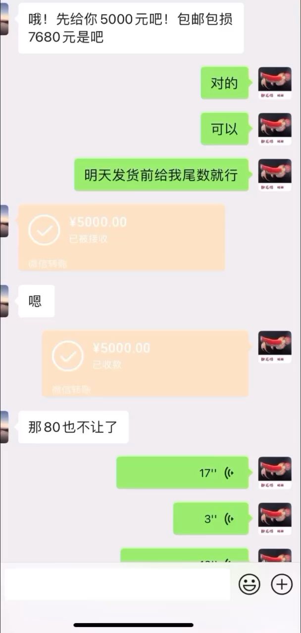 反饋視頻 觀賞魚論壇