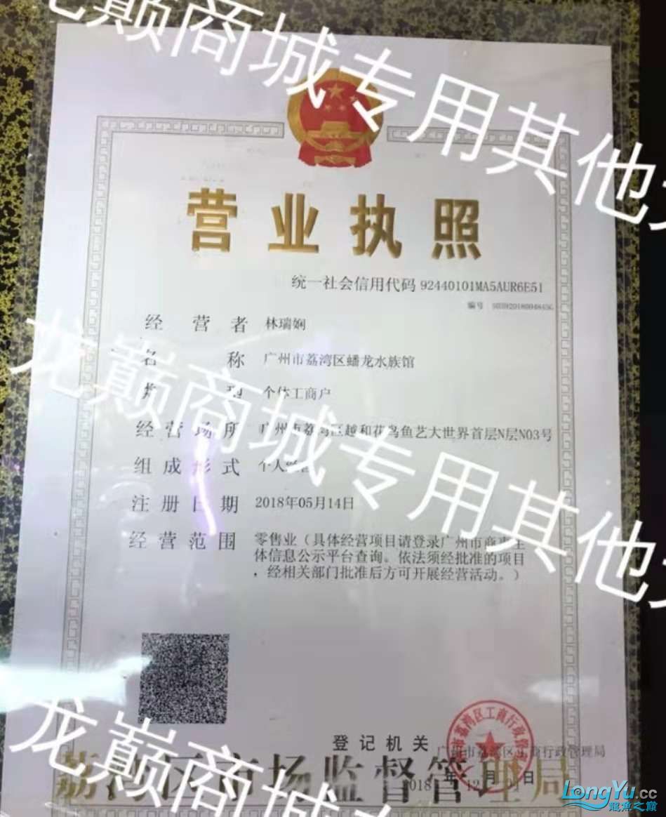 揭露騙子商家 觀賞魚論壇 第5張