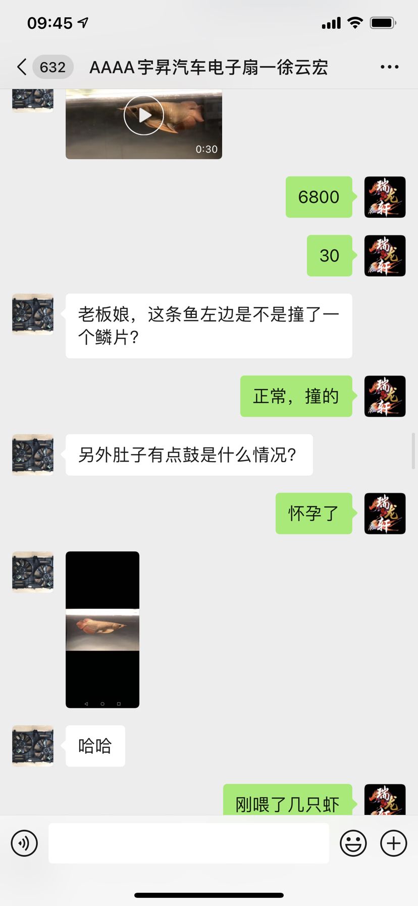 真實性 觀賞魚論壇 第6張