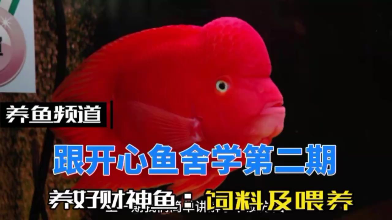 汕頭哪里賣魚缸好點的店的簡單介紹 全國水族館企業(yè)名錄