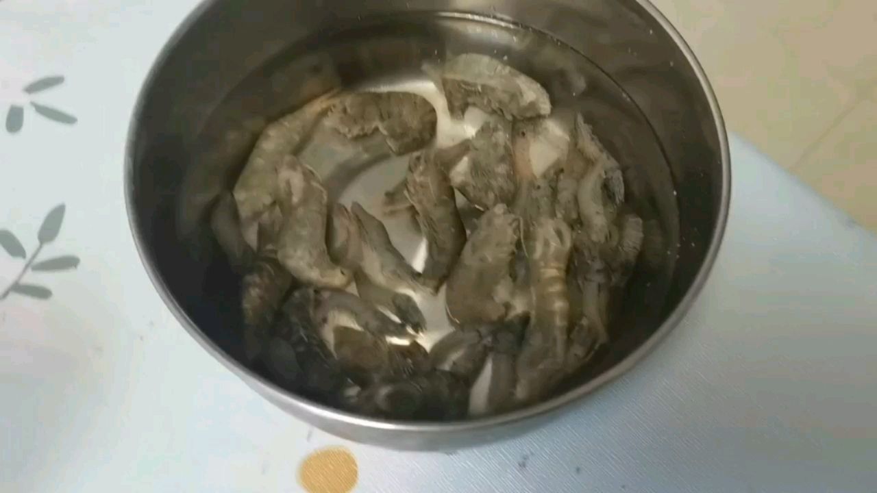 冒個泡來喂魚 觀賞魚論壇