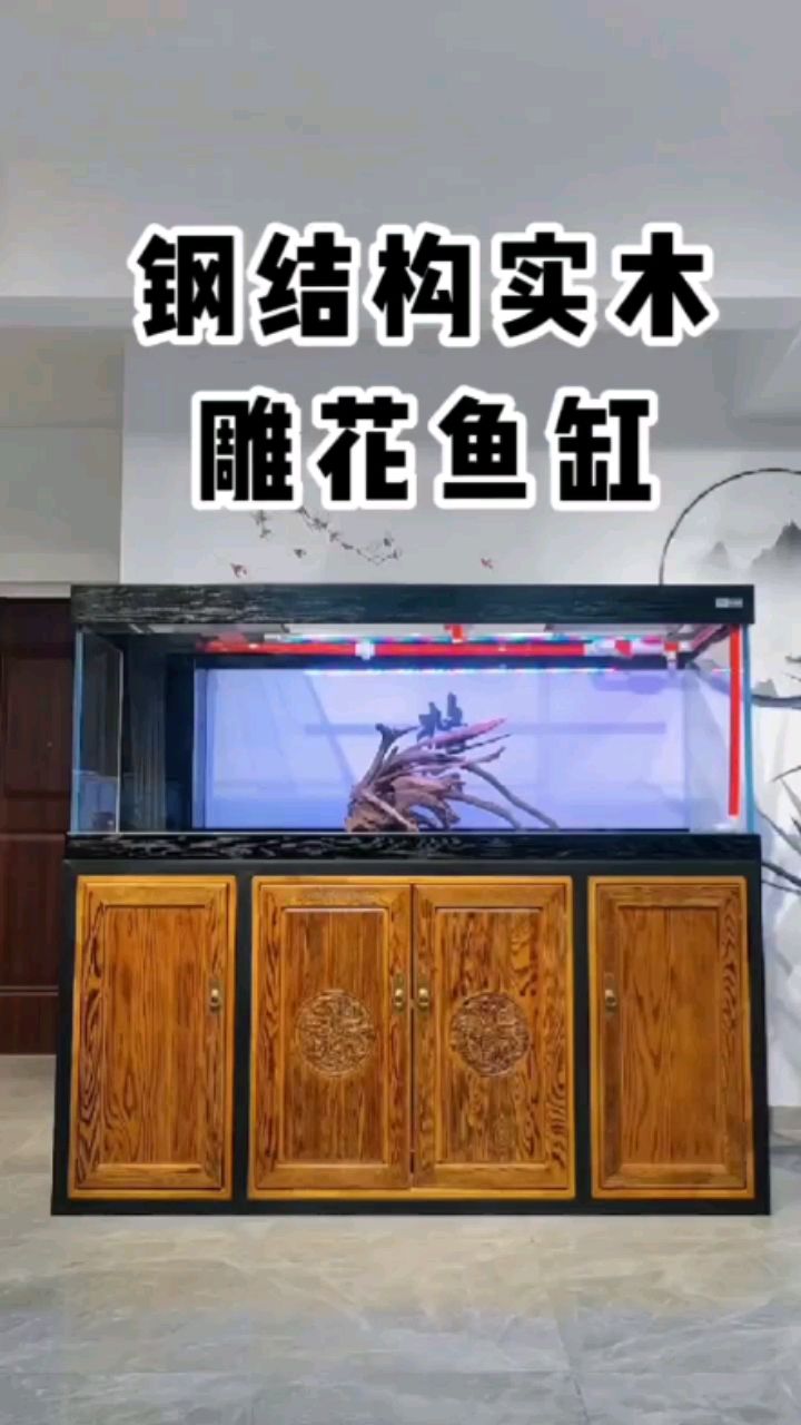 今日份實木雕花龍魚缸 觀賞魚論壇