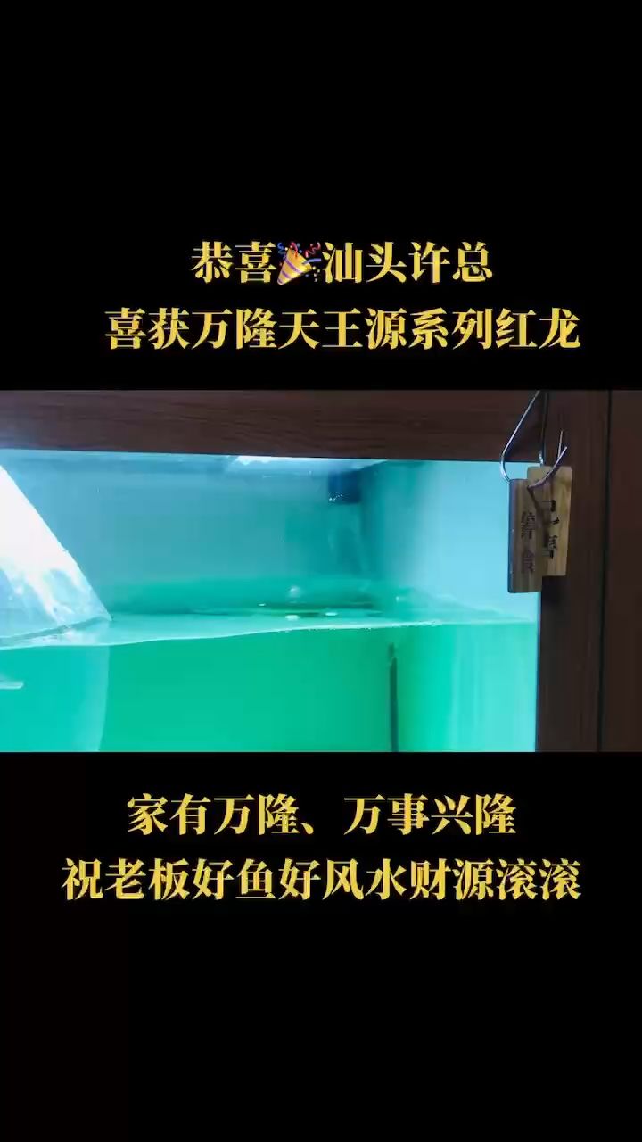 我們不一樣！ 觀賞魚論壇 第1張