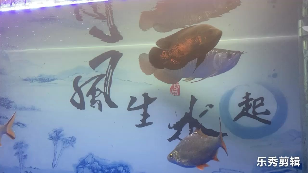 濟寧修魚缸電話號碼（ 濟南魚缸修理）