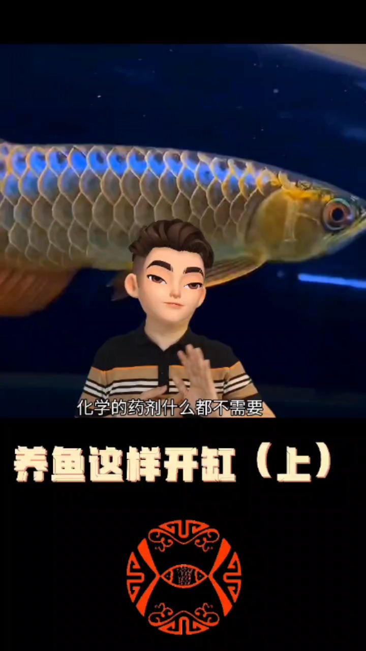 養(yǎng)觀賞魚這樣開缸百分百成功（上） 觀賞魚論壇