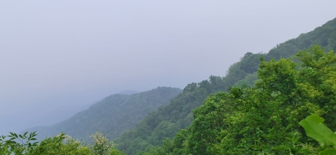 頭陀嶺半日游 觀賞魚(yú)論壇 第4張