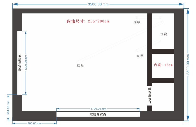 重建魚池 觀賞魚論壇 第5張