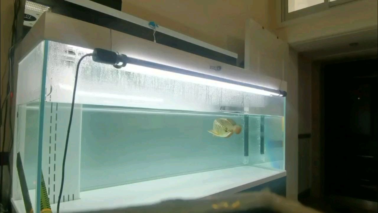 方城縣永青魚(yú)缸店 全國(guó)水族館企業(yè)名錄