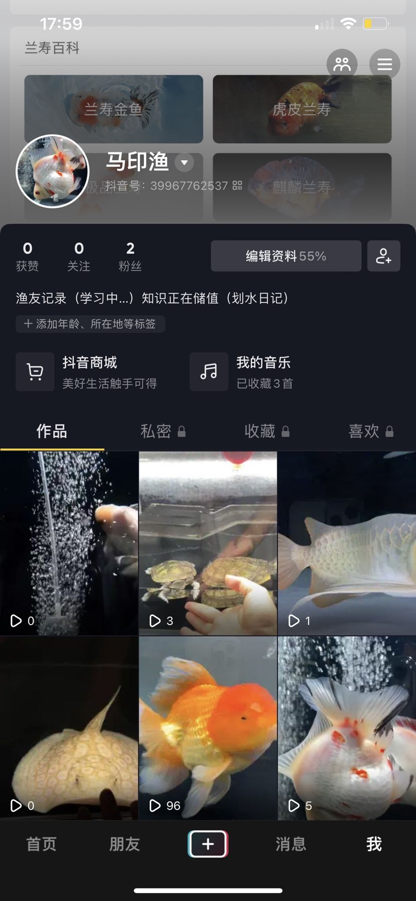 上班的第二天 觀賞魚論壇