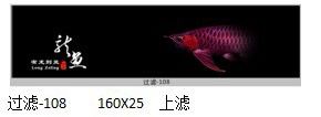 魚缸就差壁紙了。 觀賞魚論壇 第3張