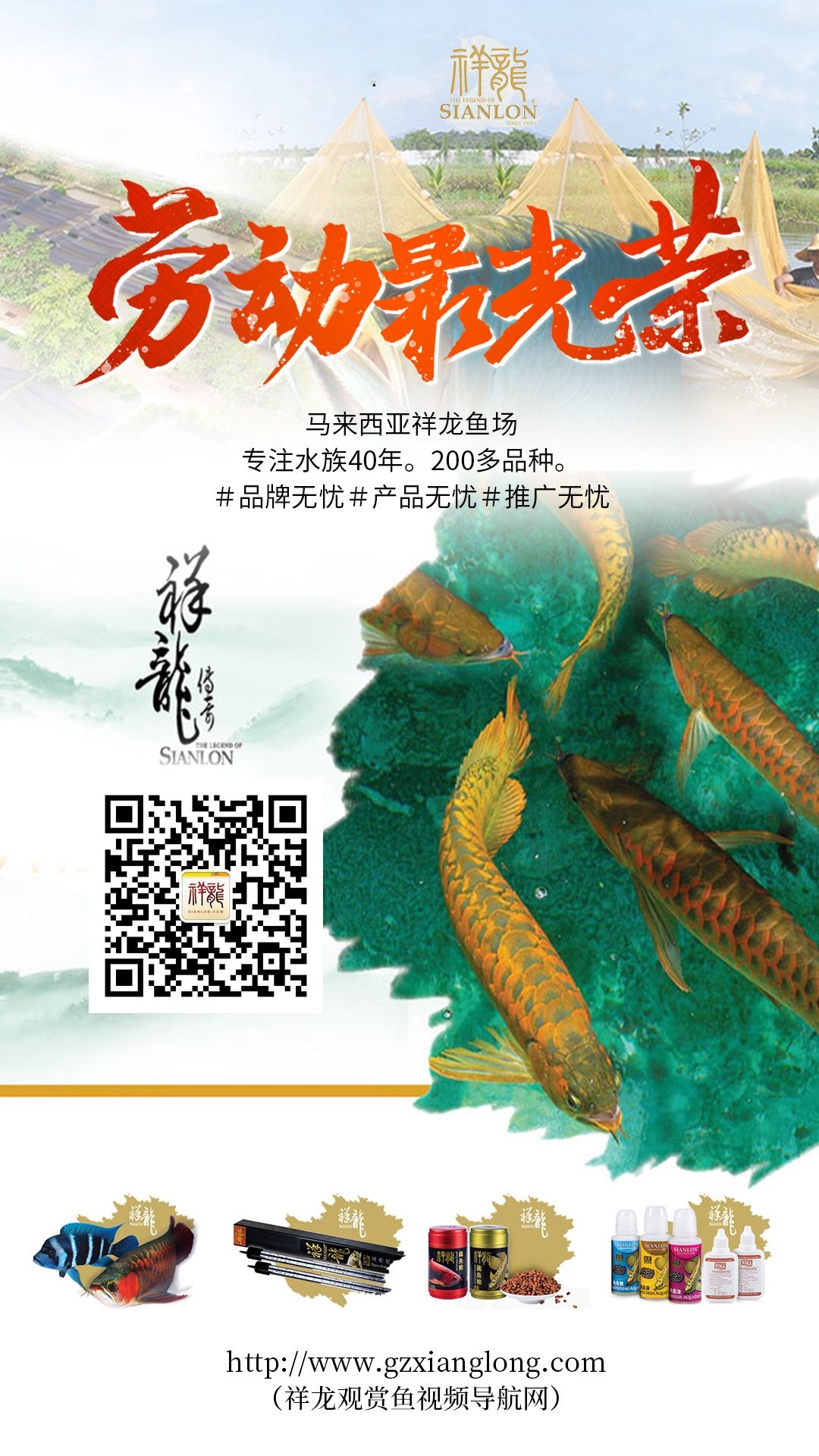 五一國際勞動節(jié) 觀賞魚論壇 第1張