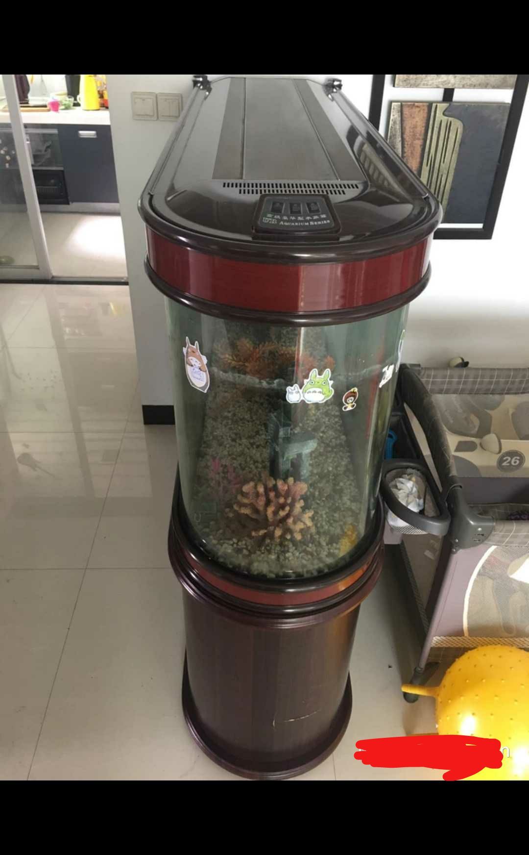 可以收別人的舊魚缸嗎(自己用舊的魚缸可以送人嗎)