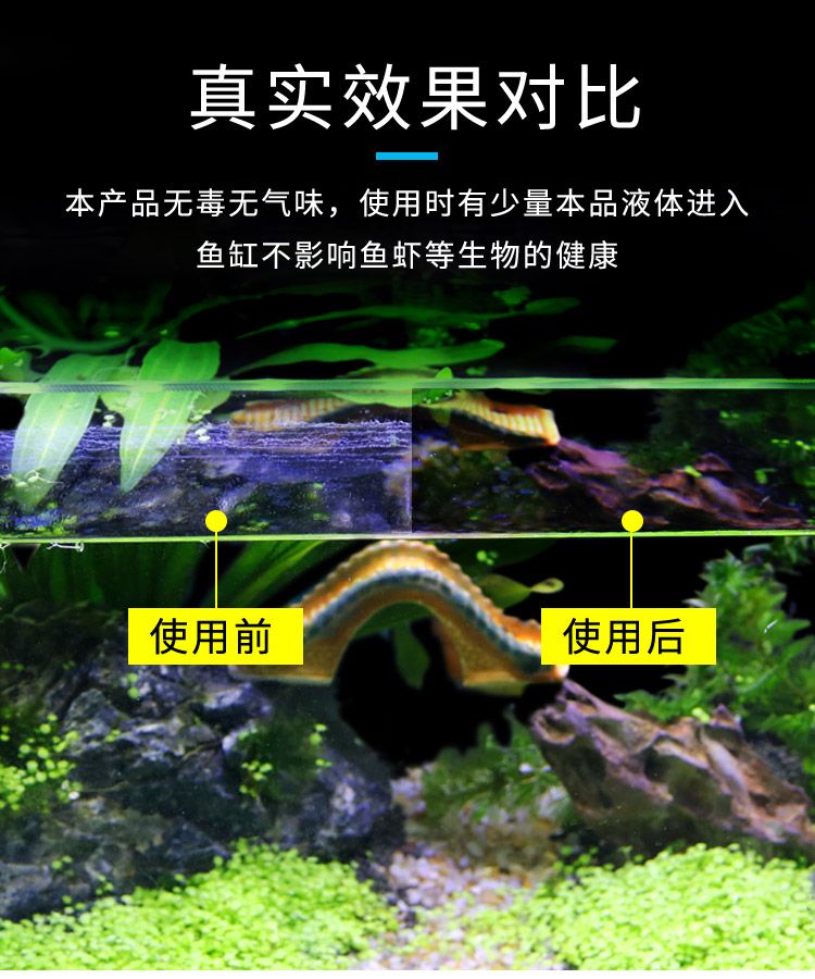 養(yǎng)什么能清理魚缸水垢(用什么東西清洗魚缸污垢好) 孵化器 第1張