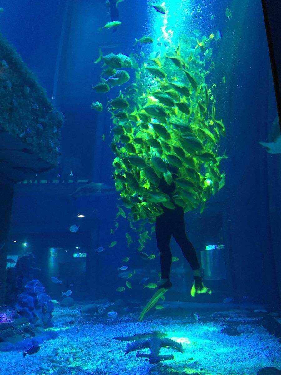 營口水族批發(fā)市場地址電話號碼(營口水族批發(fā)市場地址電話號碼查詢) 孵化器