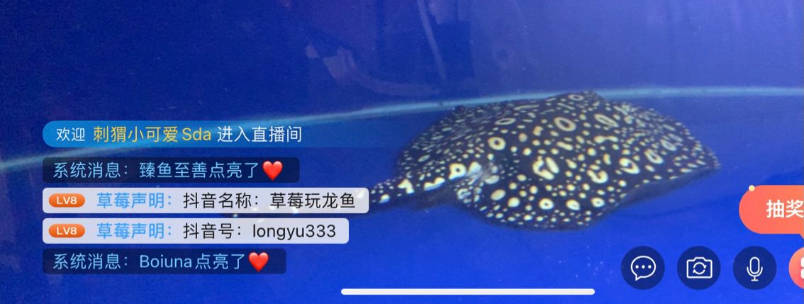 以魚會友 觀賞魚論壇 第3張