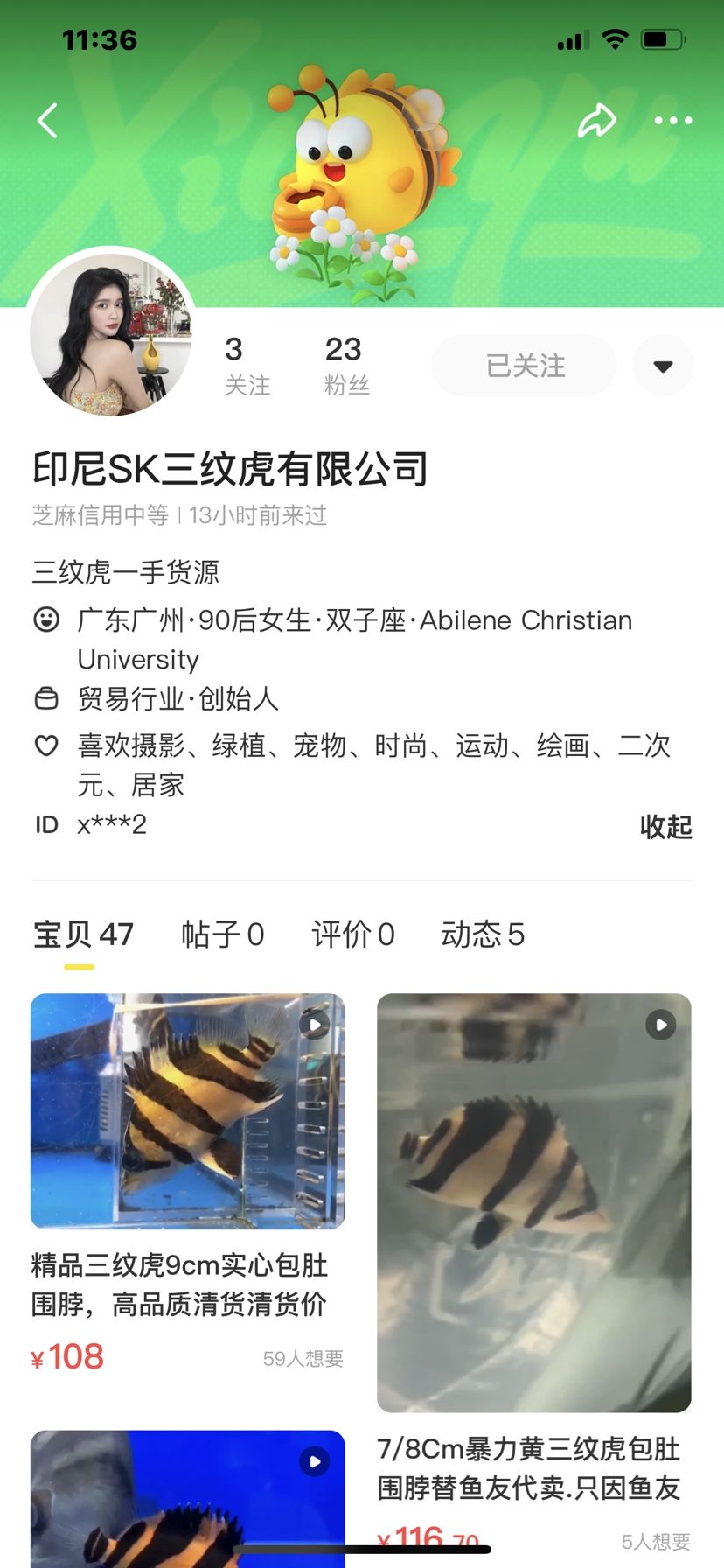 印尼虎魚騙局 觀賞魚論壇 第5張