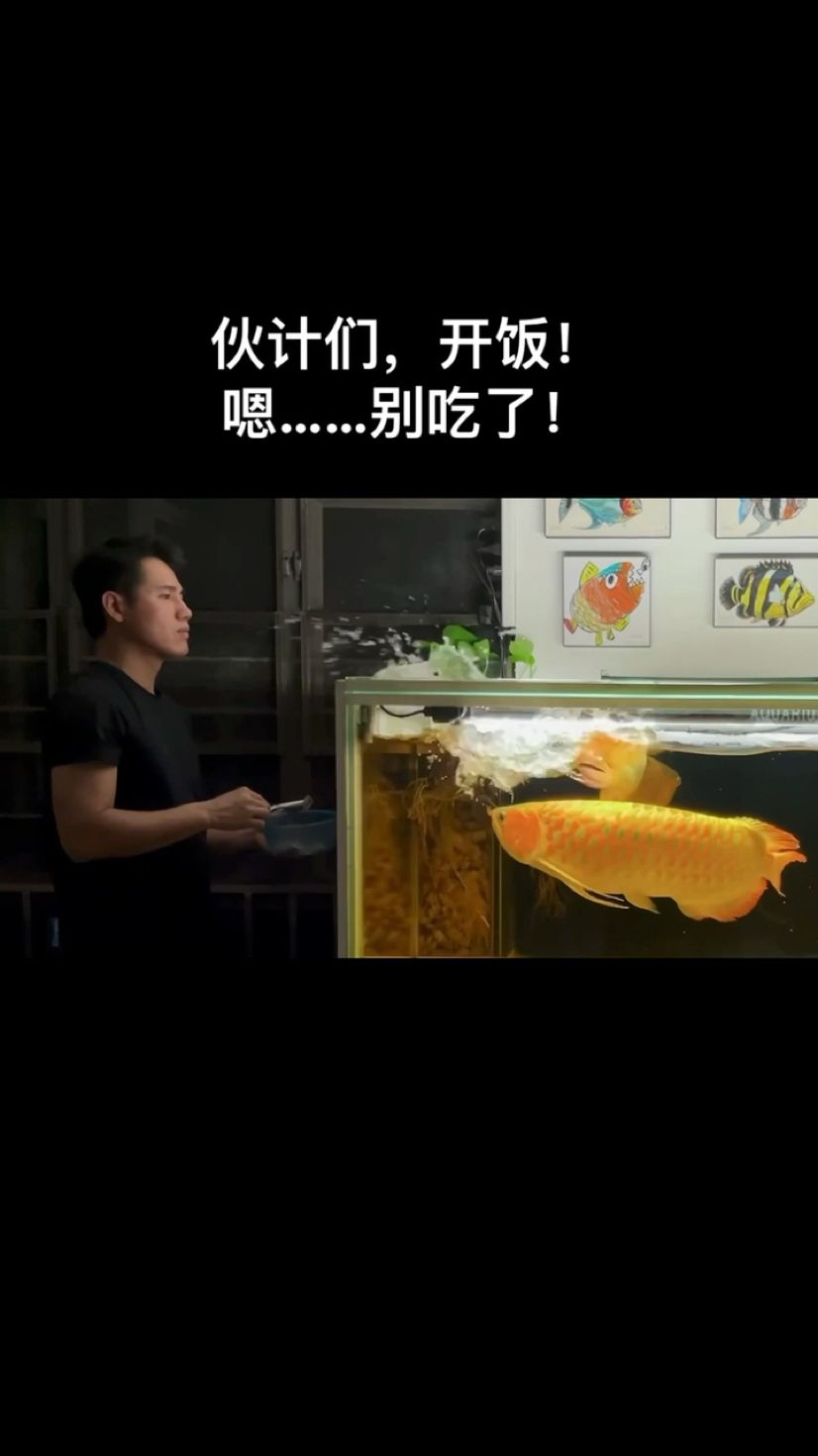 伙計們，開飯！嗯……還是別吃了！ 觀賞魚論壇