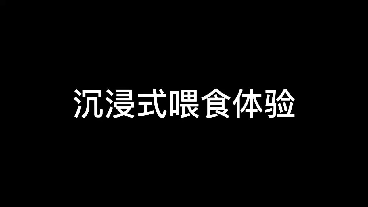 沉浸式喂食體驗 觀賞魚論壇 第1張