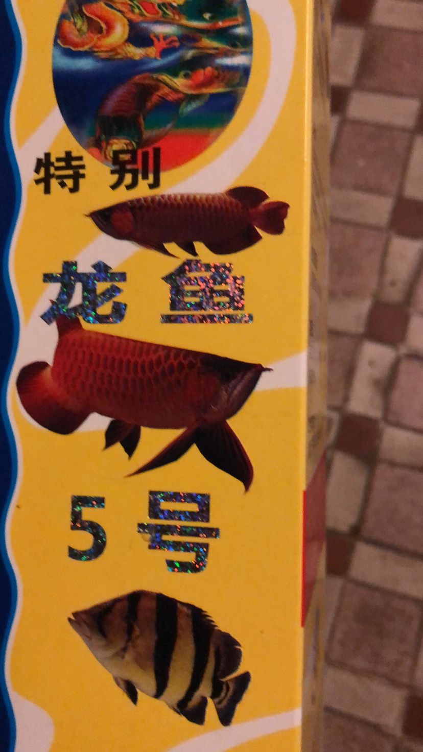 仟湖5號(hào) 觀賞魚論壇