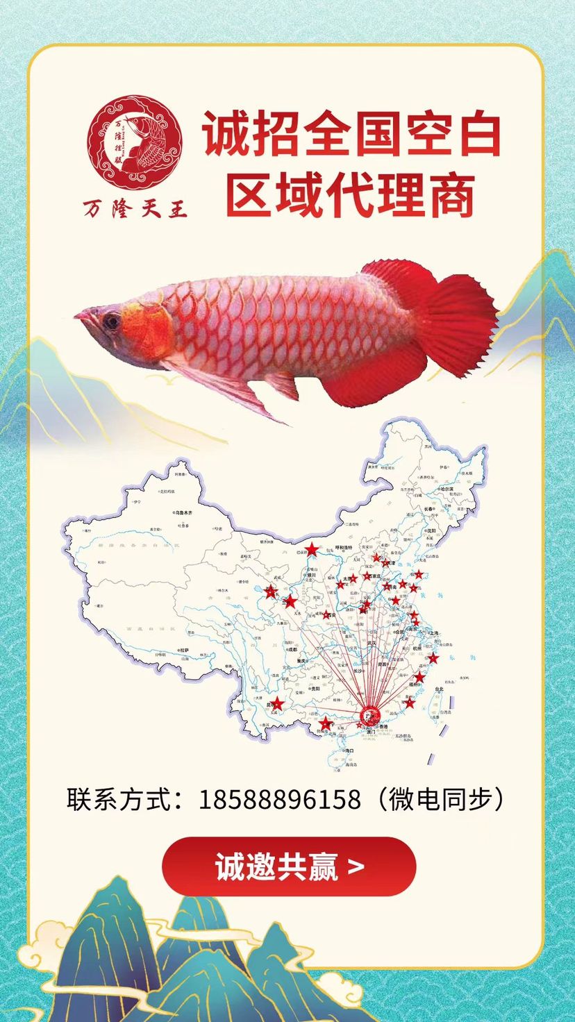 微電同步：18588896158 觀賞魚(yú)論壇 第1張