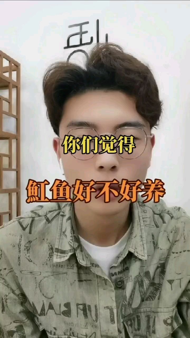 魚友們集合啦，魟魚干貨 觀賞魚論壇