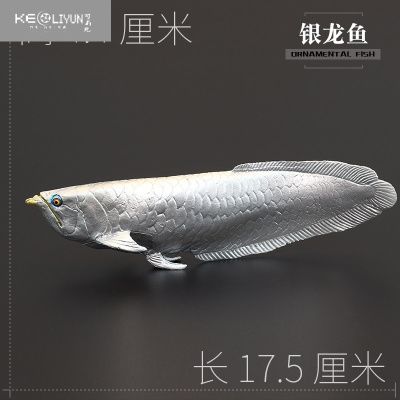 銀龍魚(yú)什么時(shí)候變銀色(銀龍魚(yú)什么時(shí)候變銀色了) 孵化器 第2張