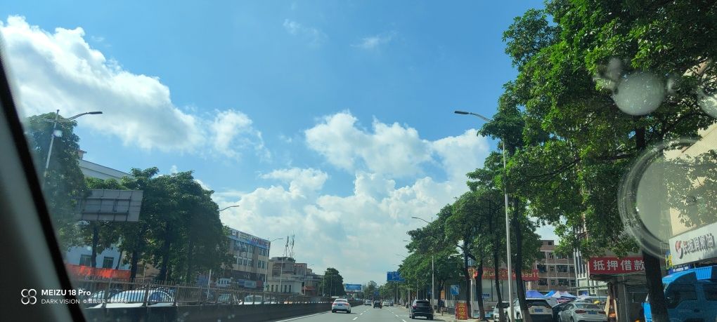 雨后的天晴，給人的感覺簡直太夠清新。愛了愛了 觀賞魚論壇 第3張