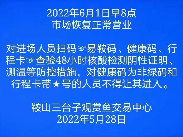 市場(chǎng)準(zhǔn)備開放了 觀賞魚論壇