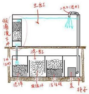 魚缸標準寬度是多少(魚缸標準寬度是多少米) 孵化器 第1張