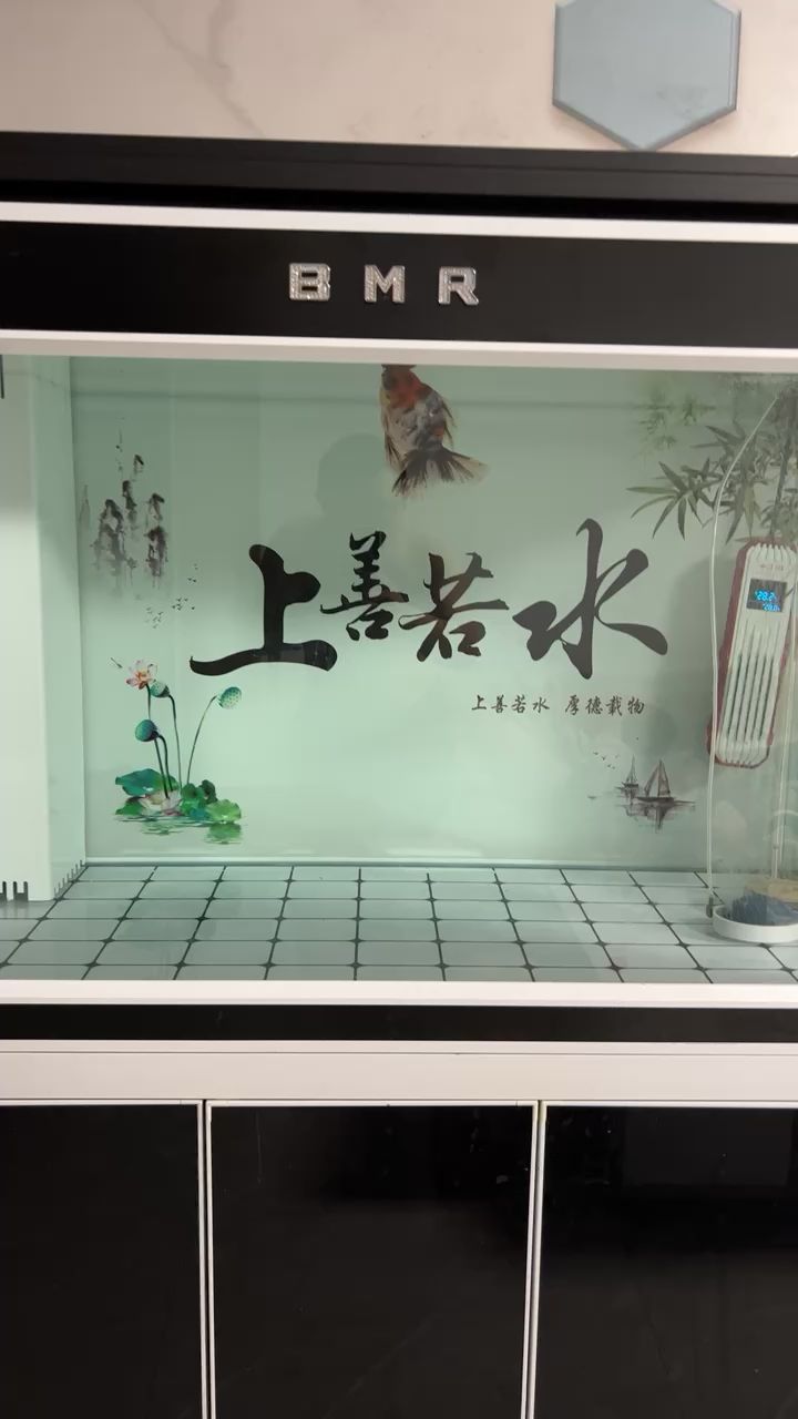 來(lái)個(gè)大哥幫我看看我這個(gè)泰獅怎么了？ 觀(guān)賞魚(yú)論壇