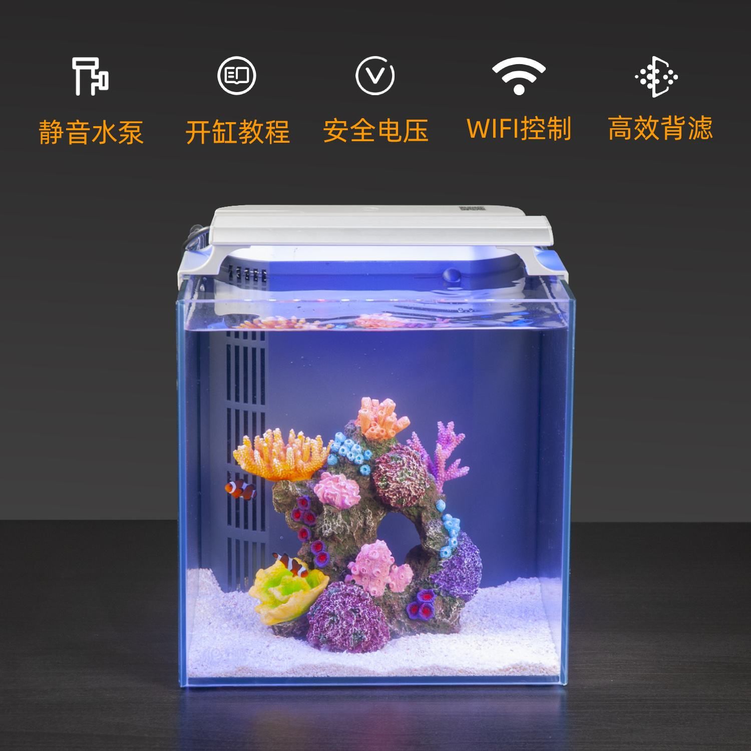 濰坊魚缸批發(fā)廠家直銷店(濰坊魚缸批發(fā)廠家直銷店在哪里) 孵化器