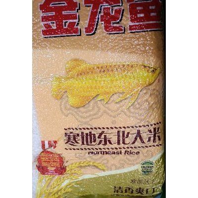 金龍魚吃什么食料好 龍魚百科