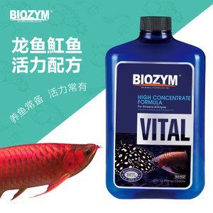 龍魚常備藥物有哪些藥品呢 龍魚百科