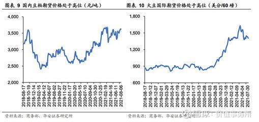 金龍魚價格上漲原因 龍魚百科