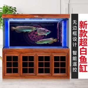 金龍魚魚尾開叉什么原因引起的 龍魚百科