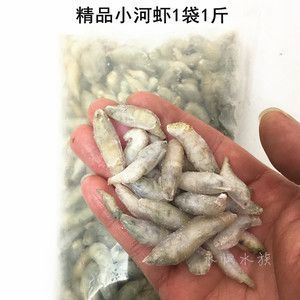 龍魚(yú)的飼料虎魚(yú)吃嗎怎么喂食的