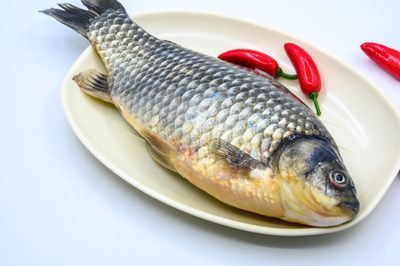 龍魚吃什么長得壯一點(diǎn) 龍魚百科