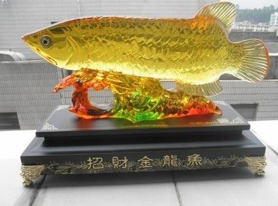 金龍魚(yú)品相價(jià)格查詢